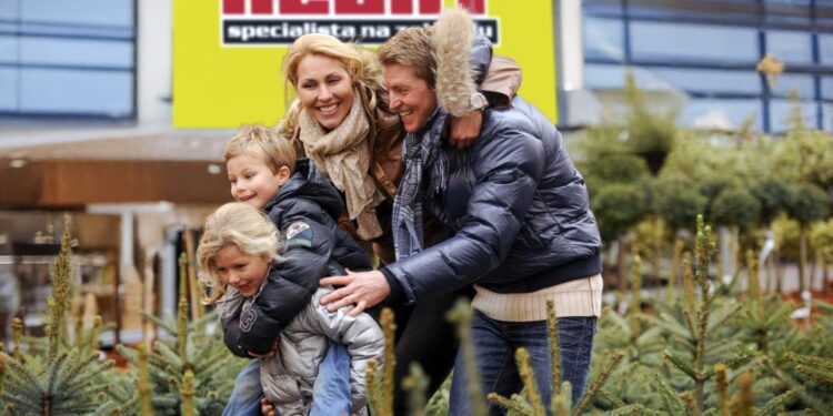 Jak vybrat ten pravý vánoční stromek a kde ho koupit?